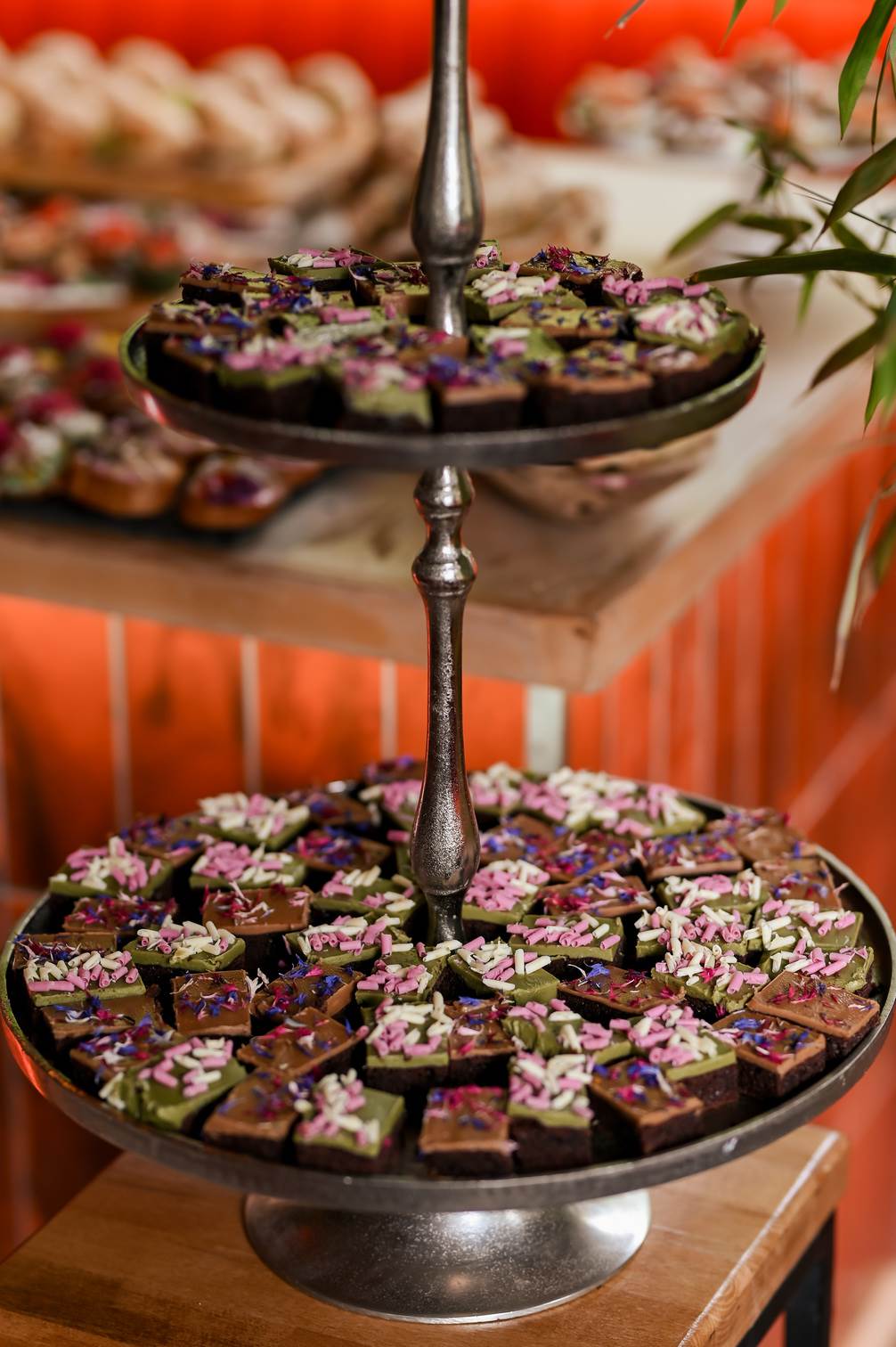 Lookbook okupio legende beauty scene u Hrvatskoj