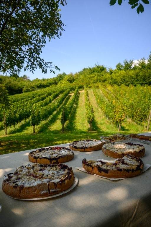 Boutique fitness studio In Shape i Vinarija Pavlečić udružili snagu pokreta i prirode