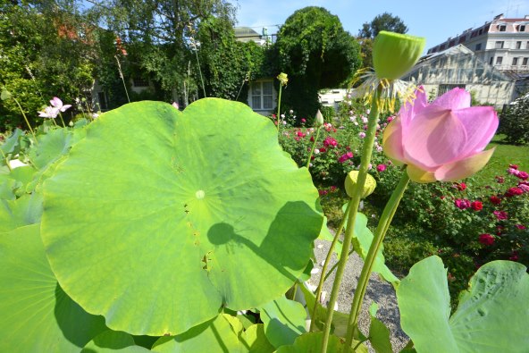Omiljene zagrebačke oaze za chillanje