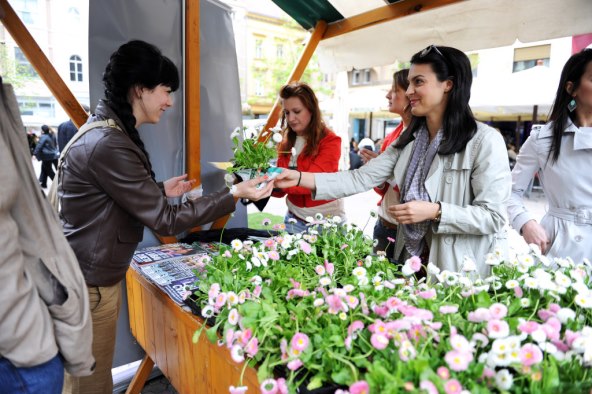 Čišći okoliš uz Story Green Box!