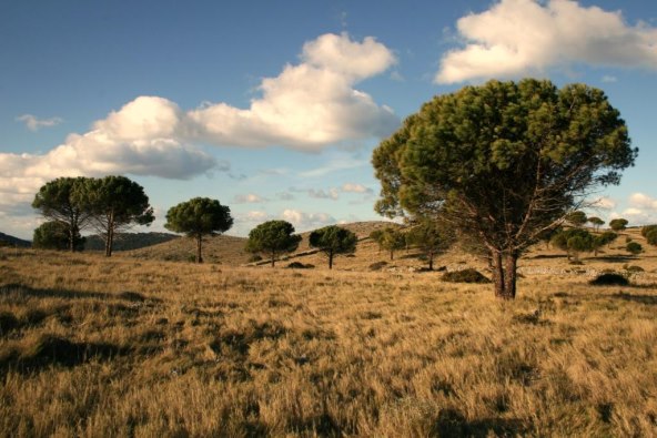 National Geographic Hrvatska u kolovoškom izdanju donosi DNK-revoluciju