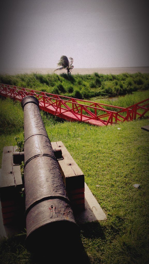 Surinam ili priča o drvetu