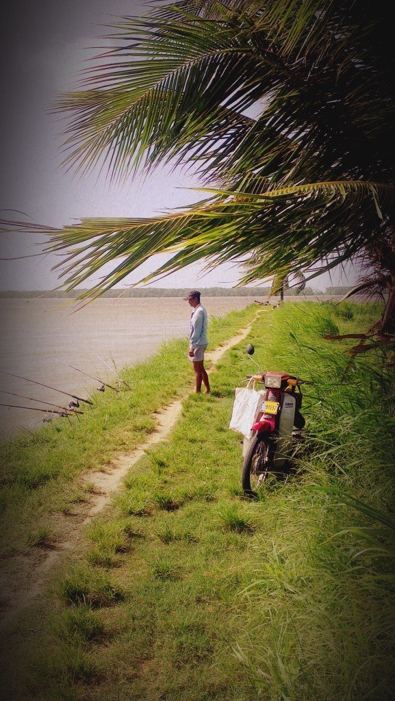 Surinam ili priča o drvetu