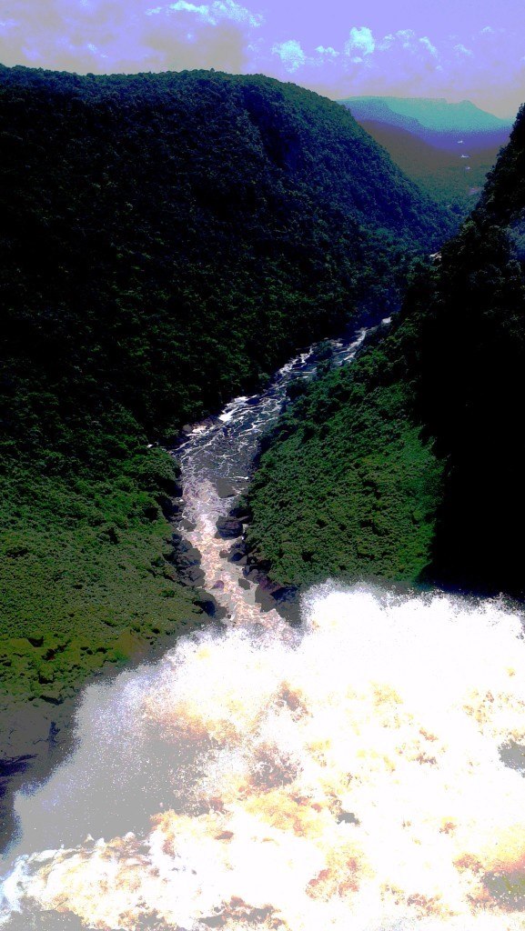 Shale kao Mister No.