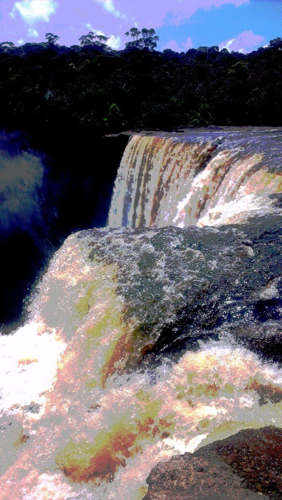 Shale kao Mister No.