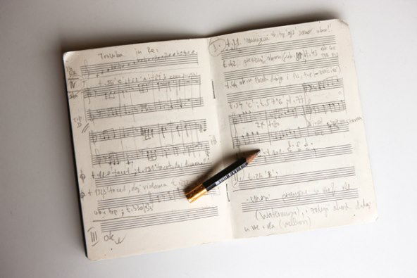 Kakav film Fura Tomislav Fačini?