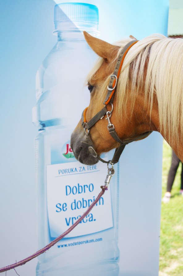 Jana "Voda s porukom" pomaže djeci s posebnim potrebama u razvoju