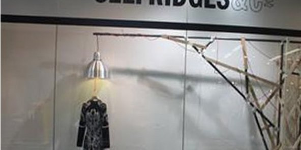 Selfridges "objesio" McQueena