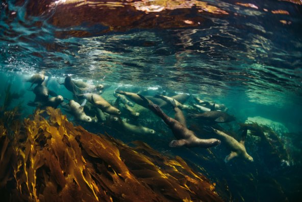 Victor de Souza na Dreft Fashion Weeku Zagreb