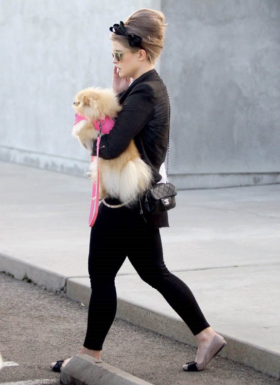 Luda obitelj Osbourne u šetnji