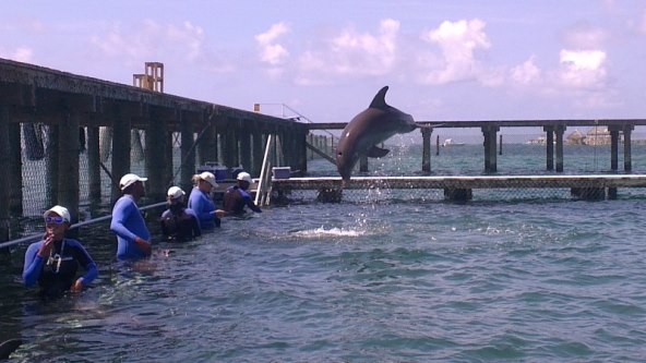 Loš dan na putu bolji je od pet dobrih u uredu