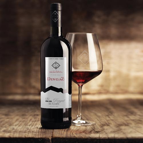 Plavci otvaraju sezonu vinskih kušaonica u Zagrebu