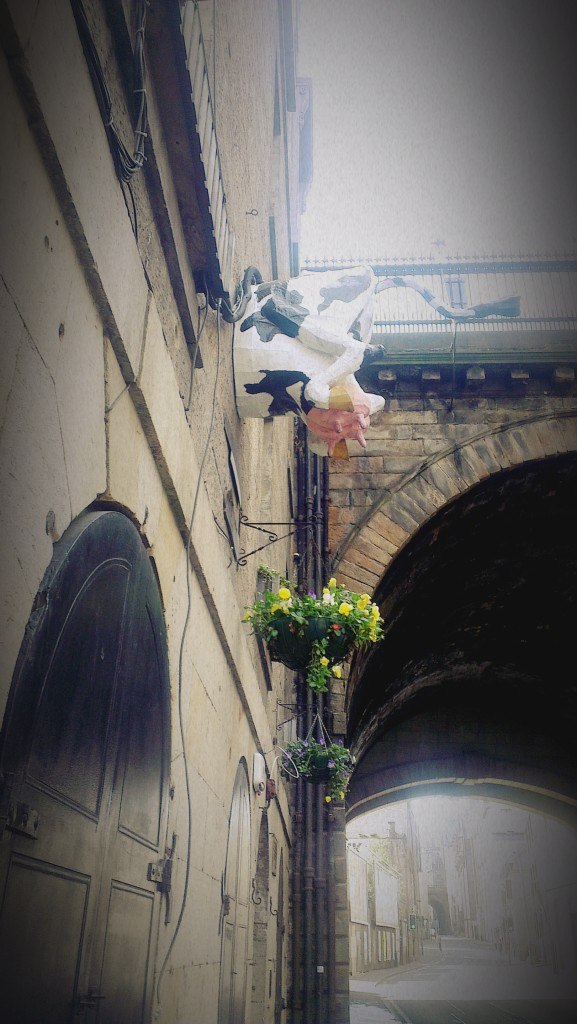 Od Dominikane do Škotske za 26 sati