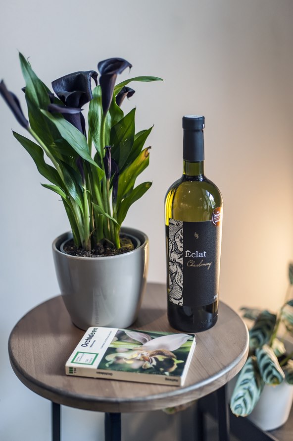 Savjeti za što bolje sljubljivanje hrane i vina