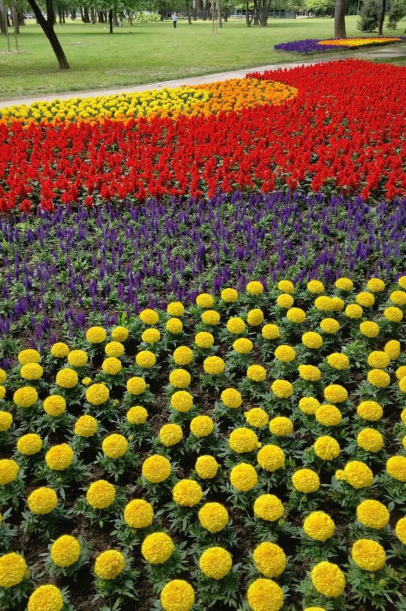 Bogati program najveće cvjetne izložbe u regiji