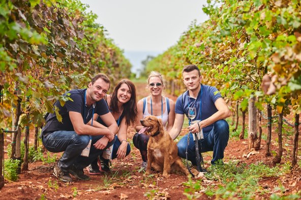 Početak jeseni u Novigradu obilježit će Wine&Walk by the sea