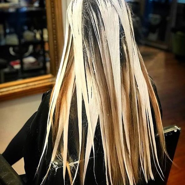 WHITTEMORE HOUSE HAIR PAINTING LIGHTENING POWDER