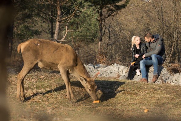 Djevojke lude za Mijom: 'Sve su kao hijene koje žele napasti Bambija'