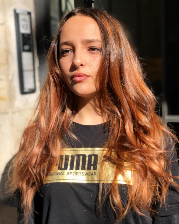 WHITTEMORE HOUSE HAIR PAINTING LIGHTENING POWDER