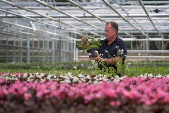 Meghan Markle ugrozila život princeze Charlotte