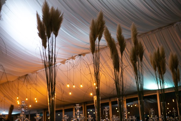 Zagreb ima novu oazu za buduće mladence