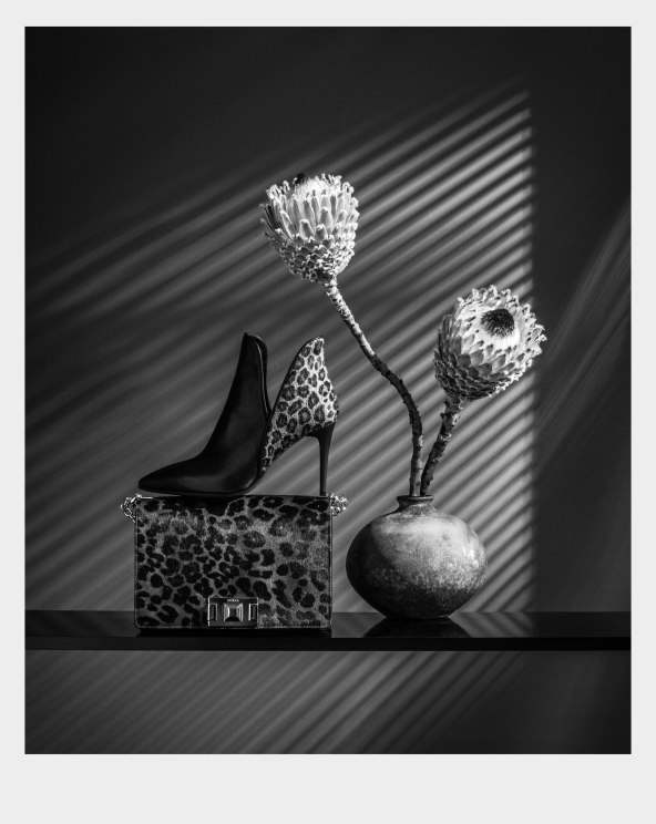 KARLA KAMPANJA11,Uvod u modnu jesen i zimu