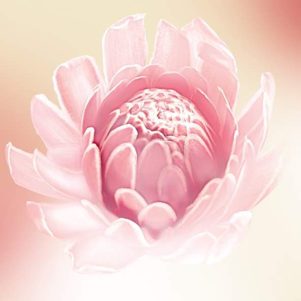 Iskusite apsolutnu anti-age moć