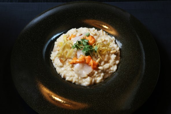 Transmediterranean bistro POMERI