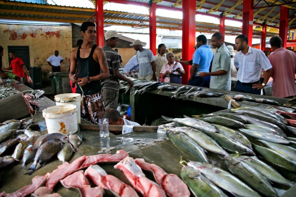 OSVOJI put na Sejšele