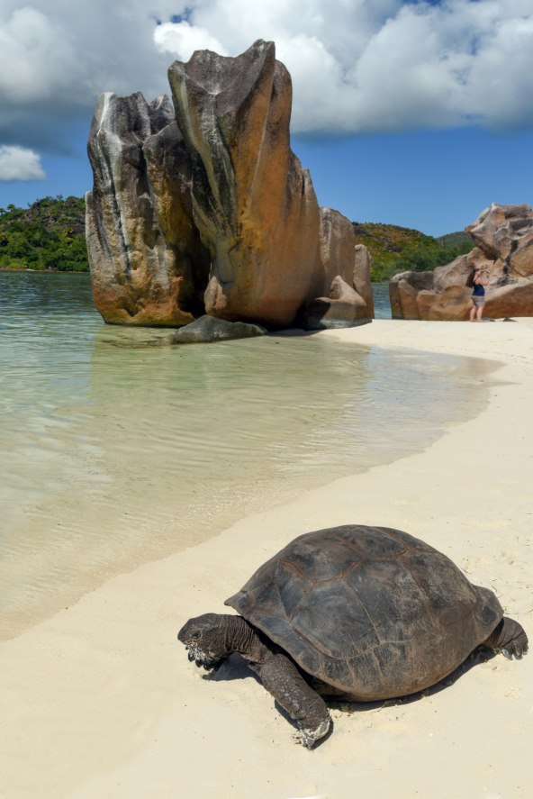 OSVOJI put na Sejšele