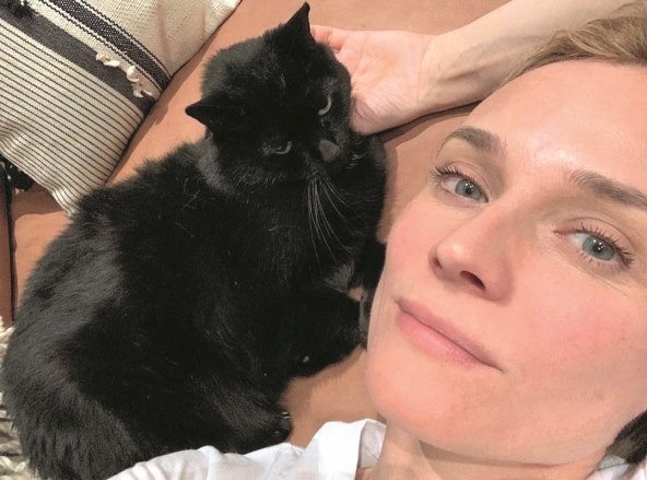 Zvjezdani život četveronožnih čupavaca