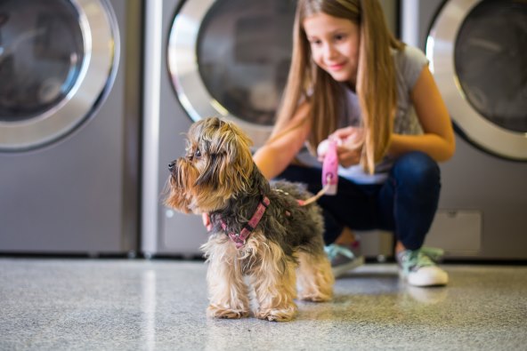 Zbog rekordnog rasta hrvatska tvrtka dobila novo globalno priznanje