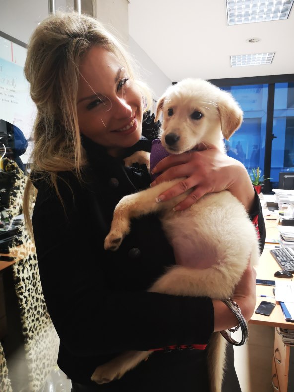 Storybookov uredski party s porukom #Storybook♥Dumovec