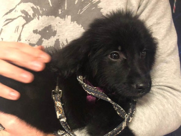 Storybookov uredski party s porukom #Storybook♥Dumovec