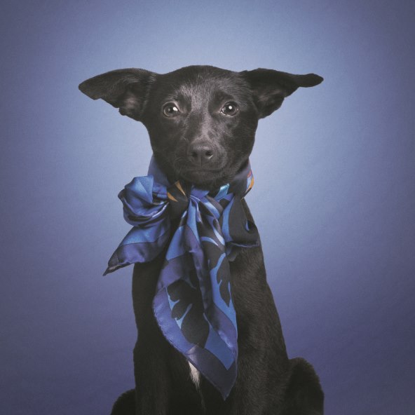 Storybookov uredski party s porukom #Storybook♥Dumovec