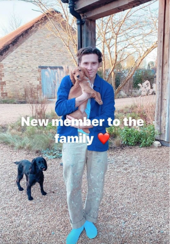 David i Victoria Beckham priredili veliko iznenađenje djeci na Božić