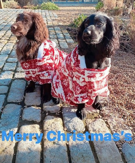 David i Victoria Beckham priredili veliko iznenađenje djeci na Božić