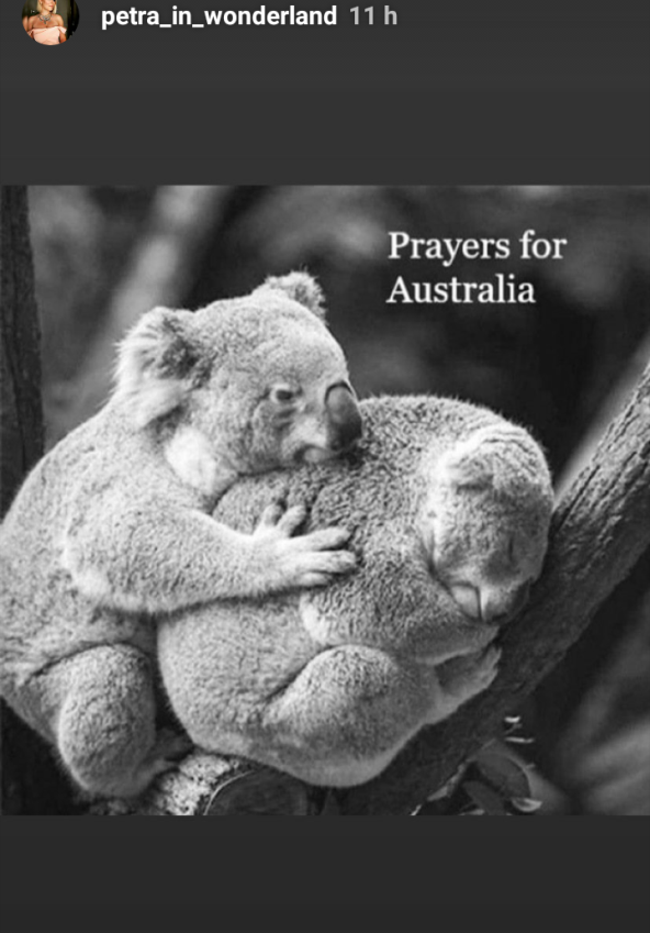 Brojni poznati Hrvati udruženi s istim ciljem