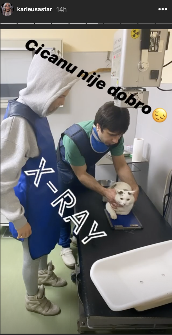 Tuga u kući Jelena Karleuše