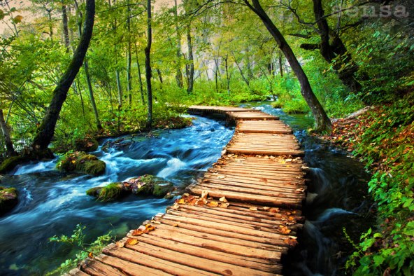 Dođite na Sensa Yoga Reconnect Retreat