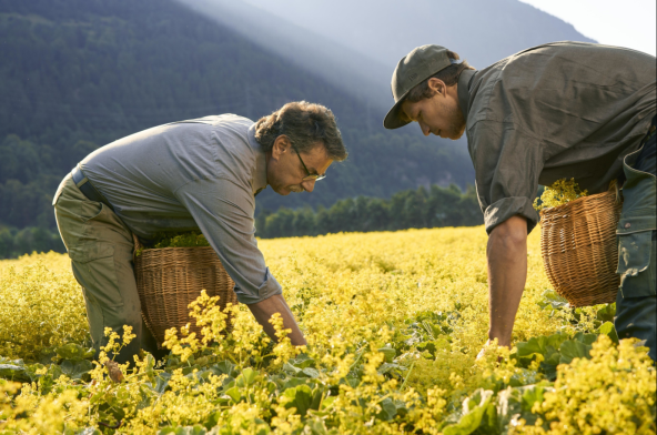 90 godina tradicije biljnih bombona