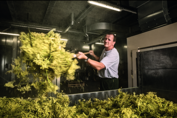 90 godina tradicije biljnih bombona