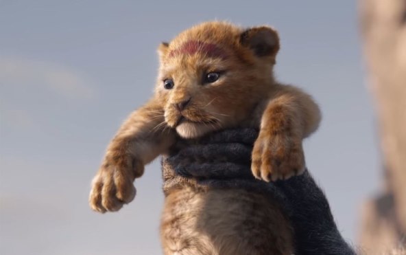 Kako možete spasiti svijet iz svojeg kauča