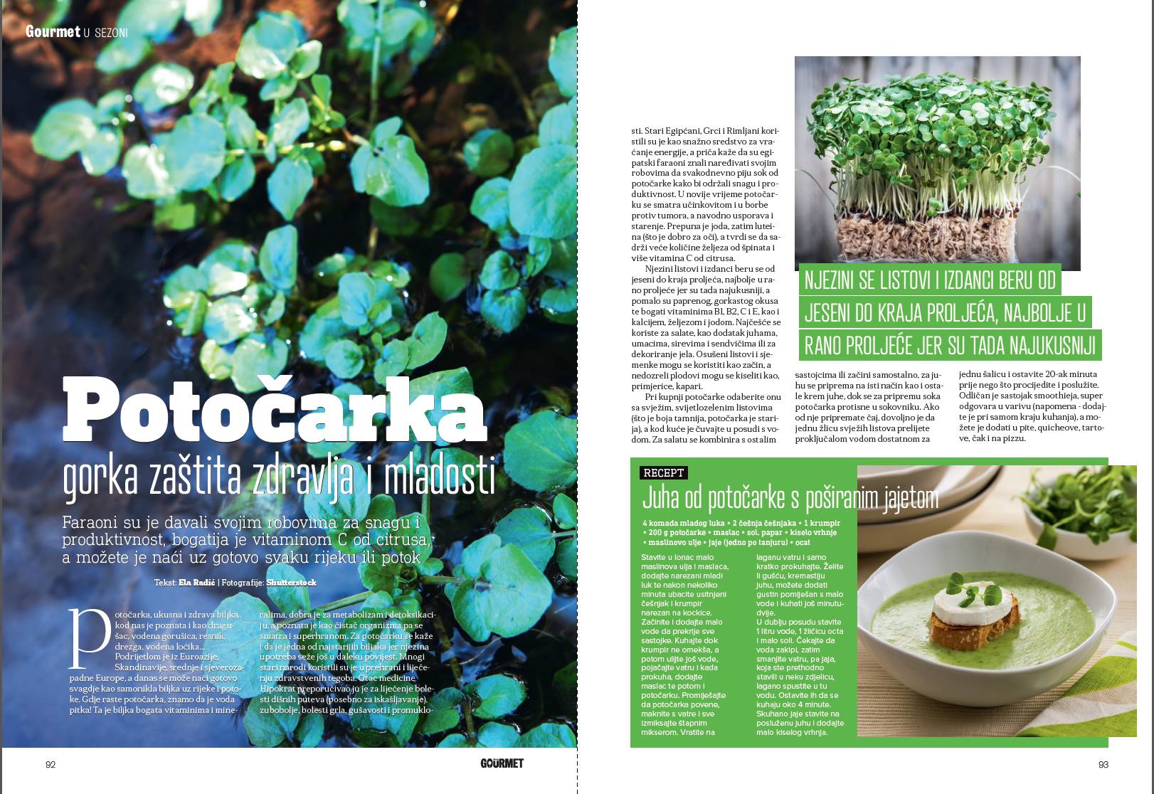 Potočarka