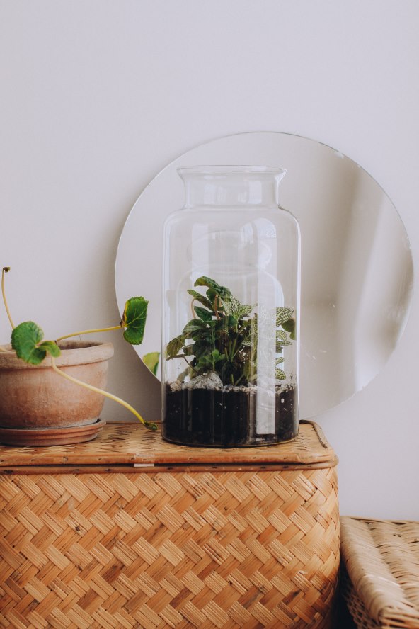 Radionica izrade kućnog vrta by Shamai Grin