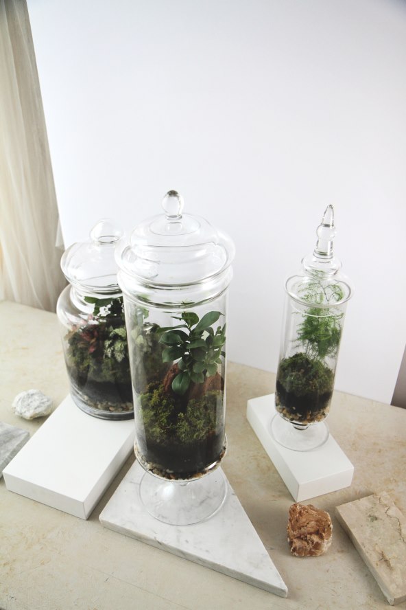 Radionica izrade kućnog vrta by Shamai Grin