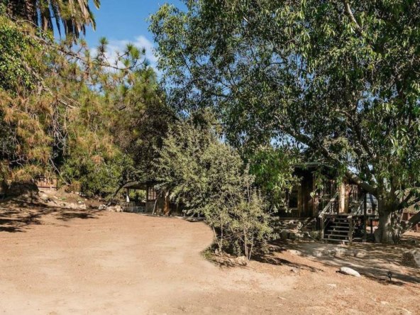 Svi su ludi za kolibama, zavirite u mjesto za bijeg Lane Del Rey