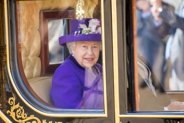Kraljica u karanteni pronašla novu obitelj o kojoj se brine