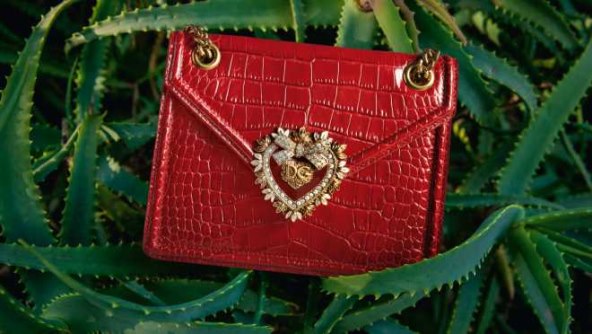 Sofia Vergara u novoj ulozi