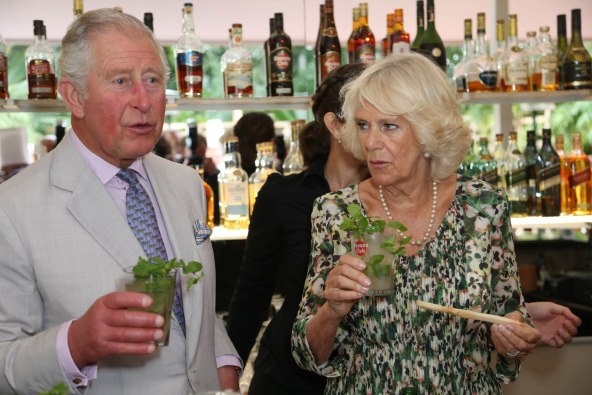 Princ Charles obratio se nezaposlenima: 'Idite brati voće'